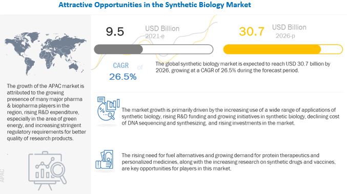 Synthetic Biology Market 