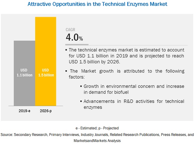 Technical Enzymes Market