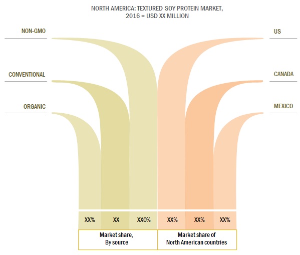 Textured Soy Protein Market Share