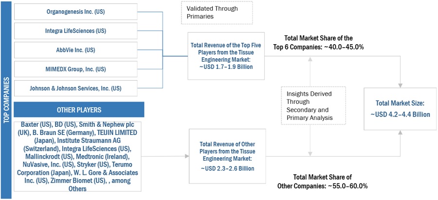 Tissue Engineering Market Size, and Share 