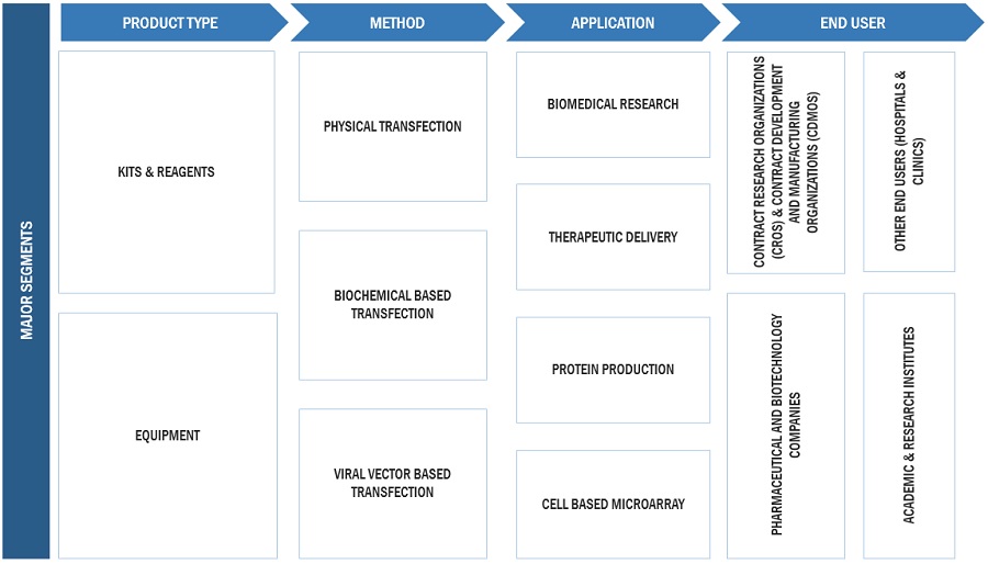 Transfection  Technologies Market Ecosystem