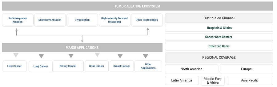 Tumor Ablation Market Ecosystem