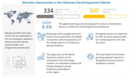 Veterinary dental equipment Market 