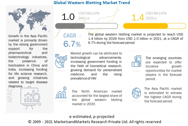 Western Blotting Market