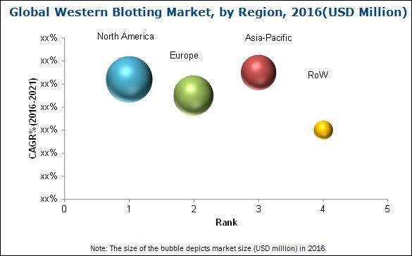 Western Blotting Market