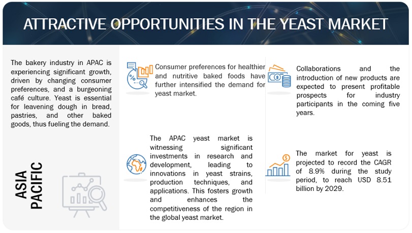Yeast Market Opportunities